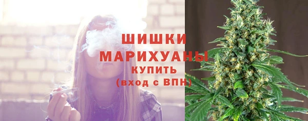 спиды Осташков