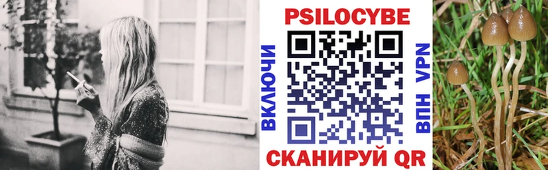 Галлюциногенные грибы Cubensis Пудож